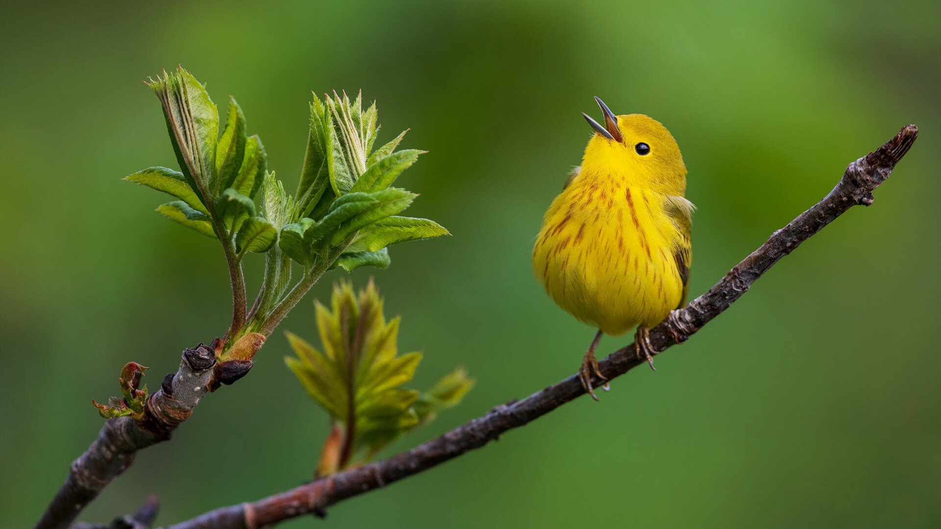 随机投票：赛季最期待的比赛地点？，赛季最佳