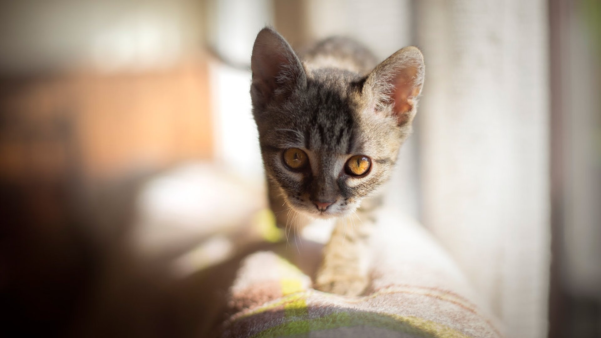 随机利物浦胜拜仁，锁定半决赛资格，利物浦胜拜仁,锁定半决赛资格了吗